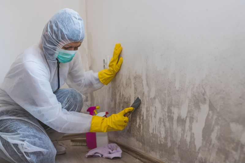Attic Mold Remediation in Bergen County, NJ