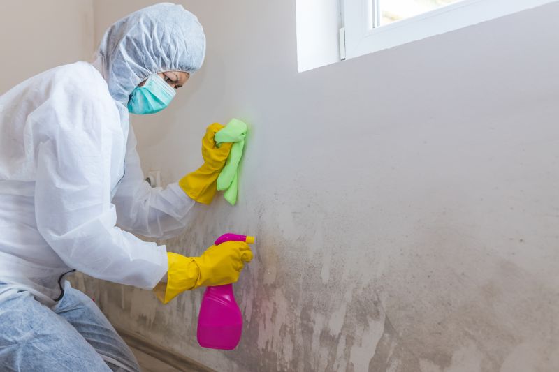 Basement Mold Remediation in Jupiter, FL