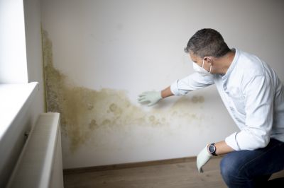 Mold Mitigation Service in Broward County, FL