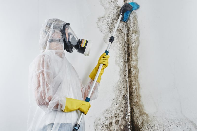 Mold Removal in Essex County, NJ