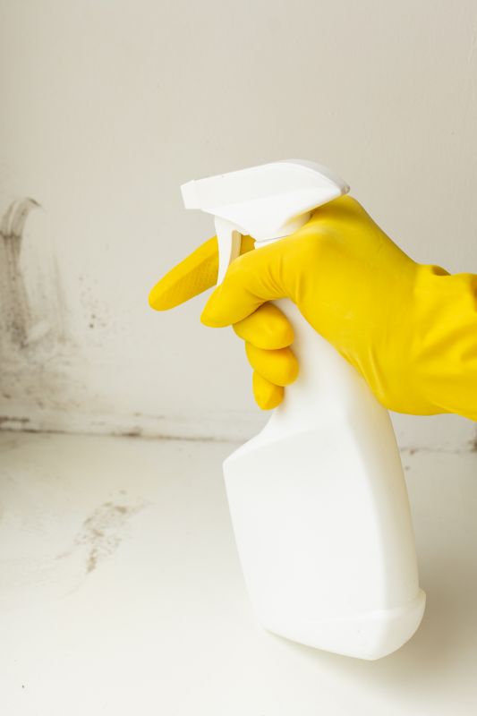 Mold Removal in Jupiter, FL