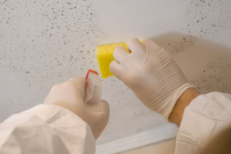 Mold Restoration in Jupiter, FL