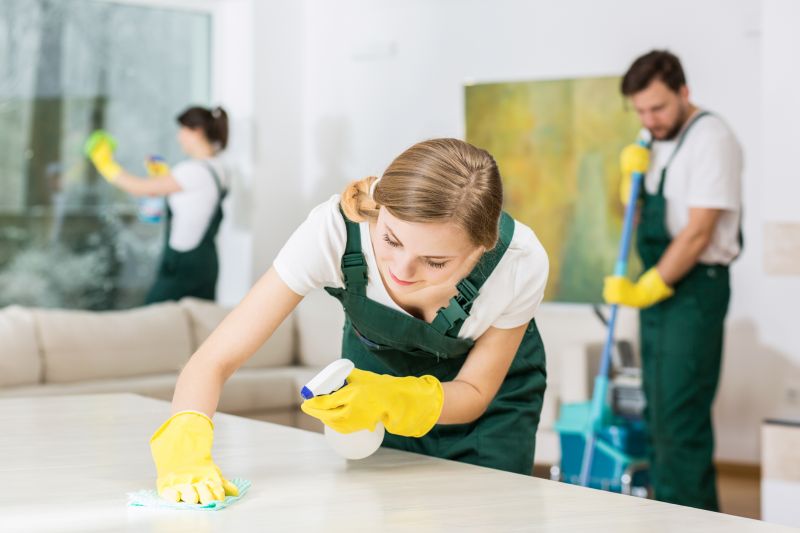 Move In Cleaning Service in Renton, WA