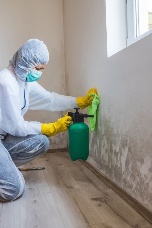 Attic Mold Remediation in Jupiter, FL