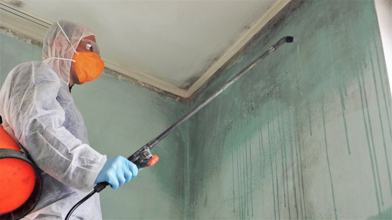 Attic Mold Removal in Frisco, TX