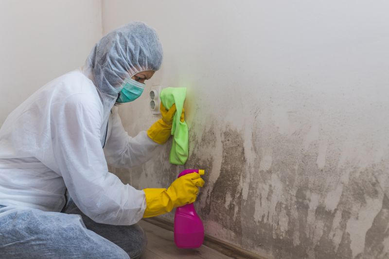 Basement Mold Removal in Fort Lauderdale, FL