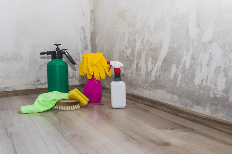 Basement Mold Removal in Boca Raton, FL