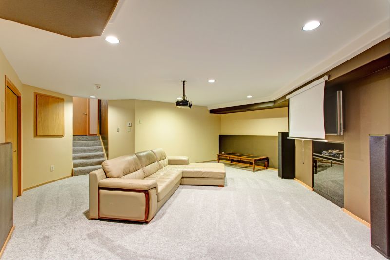 Basement Vacuuming in Bellevue, WA