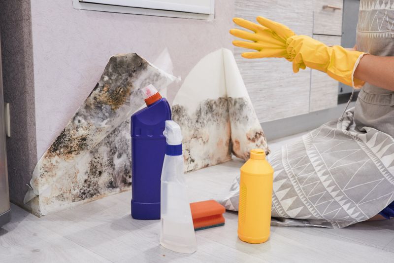 Black Mold Remediation in Dallas, TX