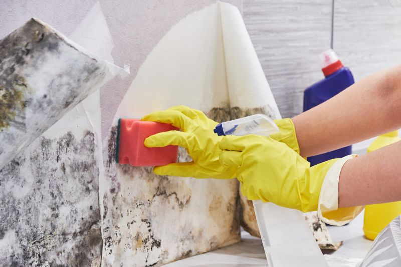 Black Mold Remediation in West Palm Beach, FL