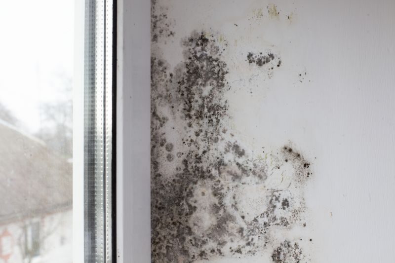 Ceiling Mold Removal in Essex County, NJ