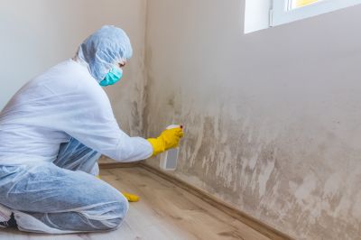 Crawl Space Mold Removal in West Palm Beach, FL