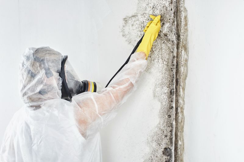 Mold Abatement in West Palm Beach, FL