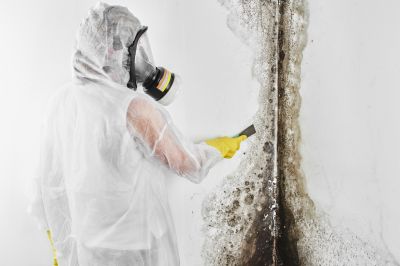 Mold Abatement in Denton, TX