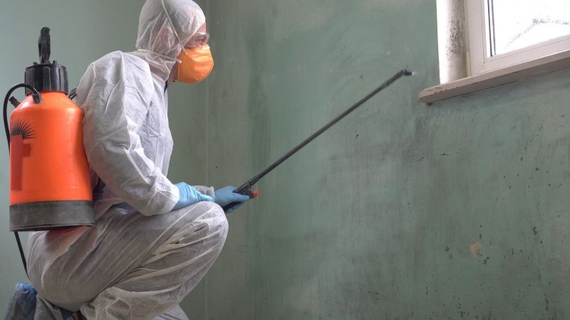 Mold Control in Frisco, TX