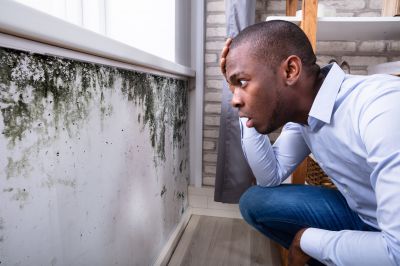 Mold Inspection And Removal in Jupiter, FL
