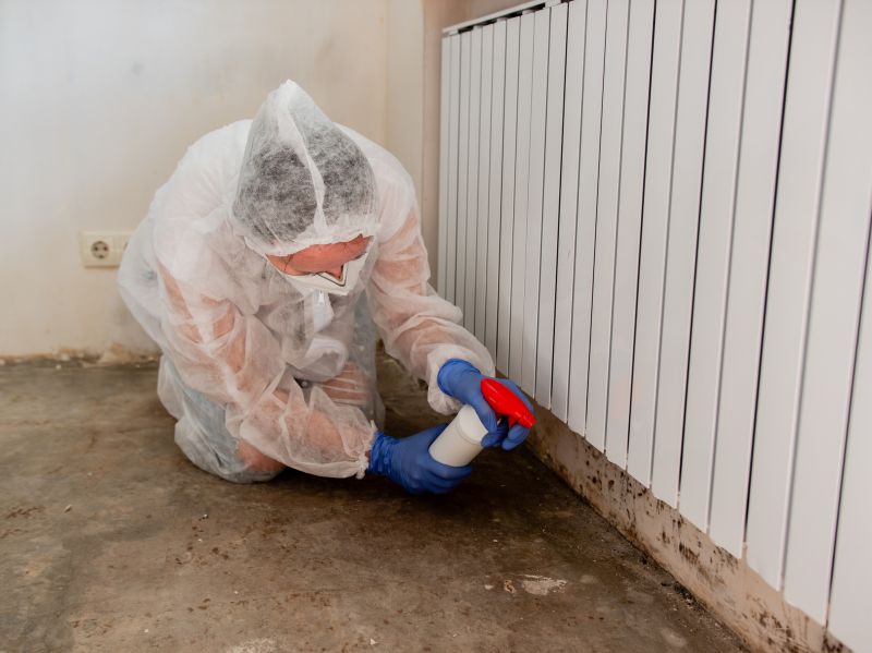 Mold Mitigation Service in Jupiter, FL