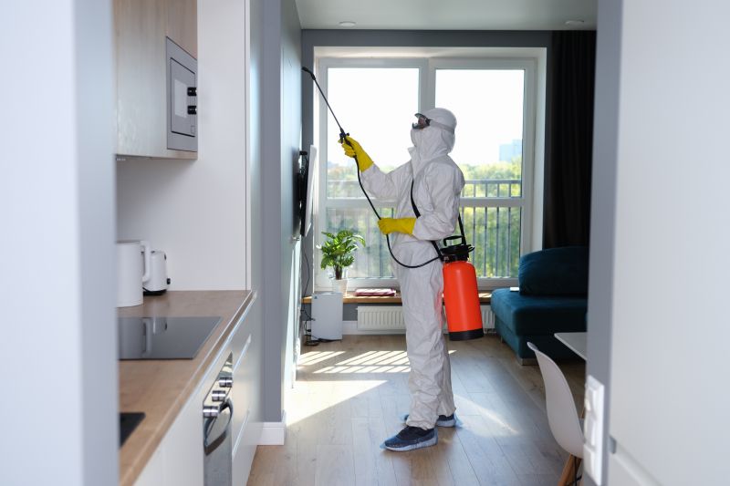 Mold Mitigation Service in Dallas, TX