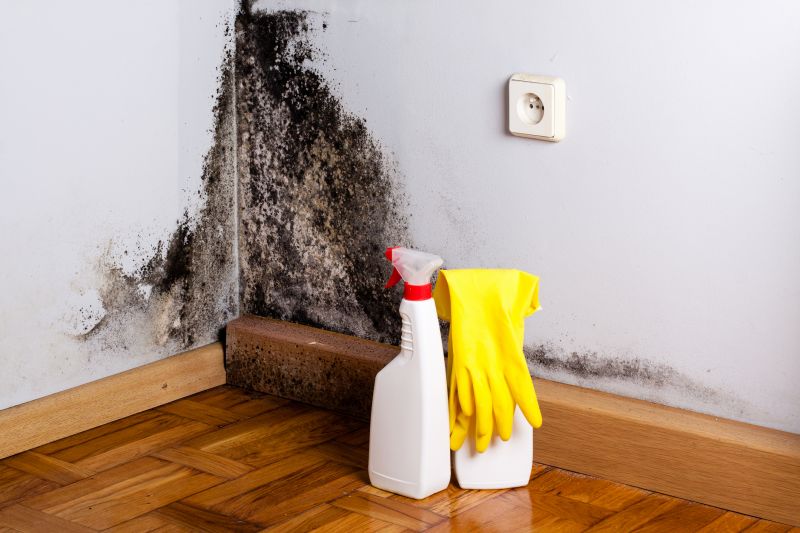 Mold Mitigation Service in Boca Raton, FL