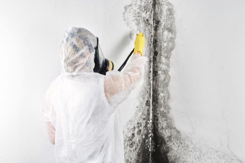 Mold Mitigation Service in Fort Lauderdale, FL