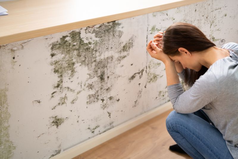 Mold Removal in Bergen County, NJ