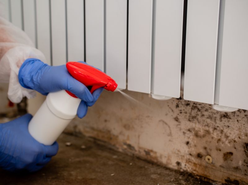 Mold Treatment Service in Fort Worth, TX