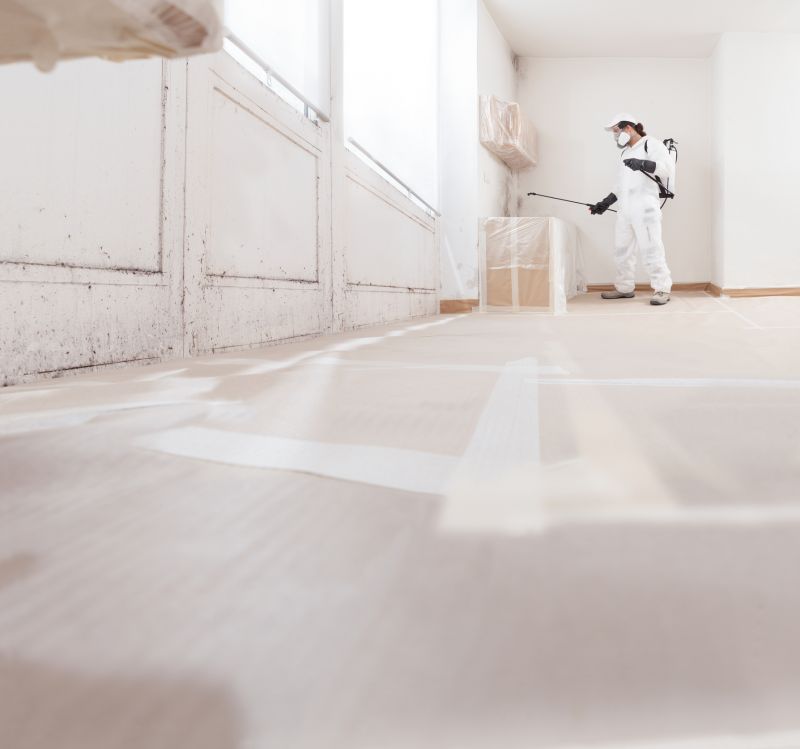 White Mold Mitigation in Jupiter, FL